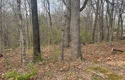 Cunningham Lane lot: 3, Bella Vista, AR 72715