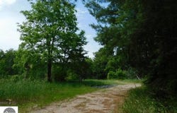 11616 Darragh Road, Mancelona, MI 49646