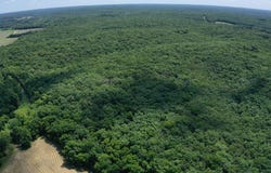 TBD Highway F, Cole Camp, MO 65325