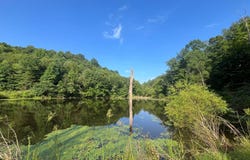 0 Estel Asbury Rd, Columbia, KY 42728