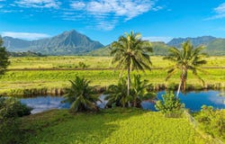 221 Kihapai Street, Kailua, HI 96734