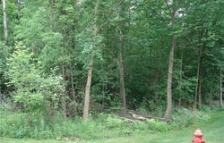 315 Morgan Terrace, Roaming Shores, OH 44084