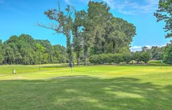6 Roslyn Drive, Charleston, SC 29414