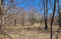 VL Wilamont Circle, Mancelona, MI 49659