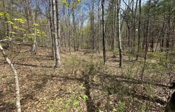 Stonehenge Pkwy, Lewisburg, WV 24901