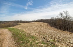 County Road S, Blair, WI 54616