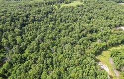Tract 5 Shireton Drive, Marshfield, MO 65706