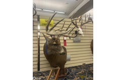Quail Run Road, Corydon, IA 50060