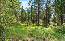 111 Grandview Terrace, Lakeside, MT 59922