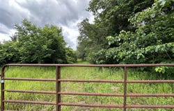 92+/- Ac Frost lane, Laurel Hill, FL 32567