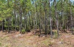 0 (lot 6) Corbitt Road, Manor, GA 31550