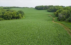 Lot 2 Burr Oak Trail, Cross Plains, WI 53528