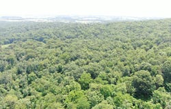 42.68+/- ACRES HUNTER ROAD, MERCERSBURG, PA 17236