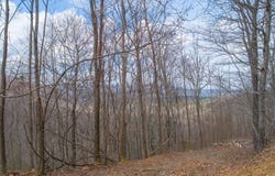 Pack Mountain Road, Murphy, NC 28906