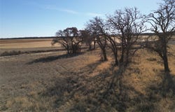 1235 County Road 226, Rising Star, TX 76471