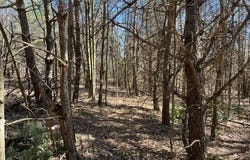 L1.13 Off Rossman Fly Road, Summit, NY 12175