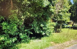 0 Stanford Street, Columbia, SC 29203