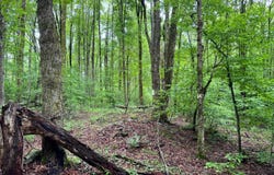 1.1 Jones Hill Rd, German, NY 13801