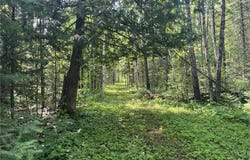1961 Town Road 118, Birchdale, MN 56629