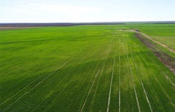 County Rd 81 S, Vernon, TX 76384