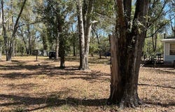 Live Oak, FL 32060