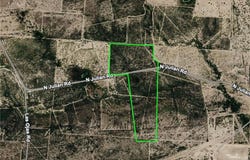 San Julian, Roma, TX 78584
