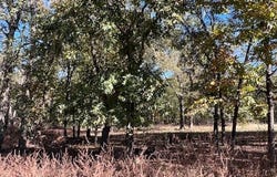 136 Deer Valley Circle, Broken Bow, OK 74728