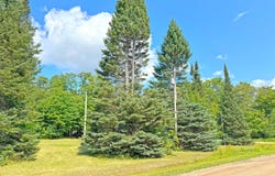 33418 W North Rd, Eckerman, MI 49728