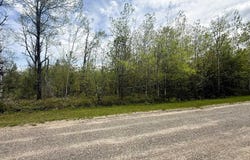 Lot 50 Breezewood Drive, Mancelona, MI 49659