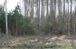 Cattle Farm Road, Latta, SC 29565