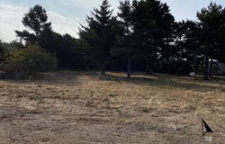 24th St, Florence, OR 97439