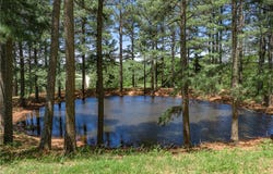 11482 Abilene Road, Winslow, AR 72759