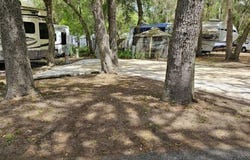 25160 140th Loop NE, Salt Springs, FL 32134