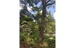 1113 Buente, Spring Hill, PA 15212