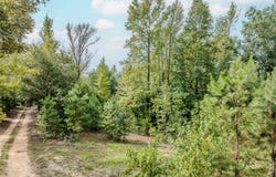 328 County Road 45300, Powderly, TX 75473