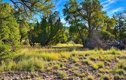 N Dallas Drive lot: 1060, Seligman, AZ 86337