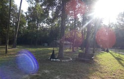 177 Tic Toc Lane, Trinity, TX 75862