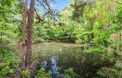 1419 HWY 32 E, Ashdown, AR 71822