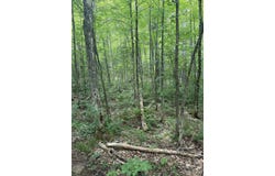 TBD Old US2 Road, Wakefield, MI 49968
