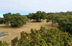180 Bee Hive Rd SW, Hunt, TX 78024