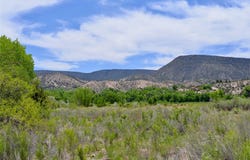 Lots 1 & 2 off of CR-162, Abiquiu, NM 87510