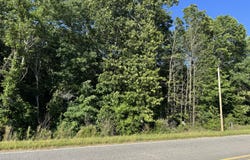 County Road 7550, Baldwyn, MS 38824