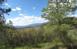 1000 Perry Dr., Pagosa Springs, CO 81147