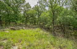260 Ridgeline Drive, Chico, TX 76431