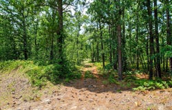 17 Acres Hard Luck Lane, Windsor, SC 29856