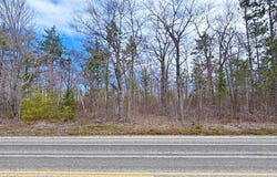 County Rd. 638 Highway lot: 36, Presque Isle, MI 49777