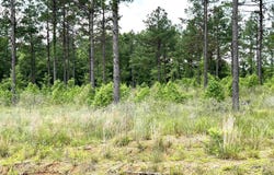 lot 16 Grant County Road 761, Sheridan, AR 72150