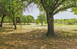 4003 County Road 344, Hawley, TX 79525