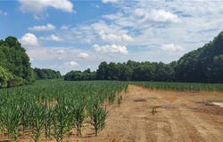 429 Harbour Lane, Dobson, NC 27017