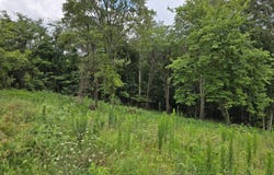 270 Wells Rd, Powell, TN 37849